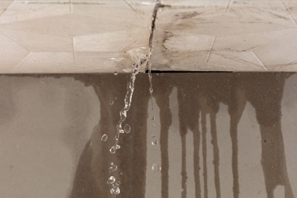 Professional Sewage Cleanup technician working in Wayne, NJ